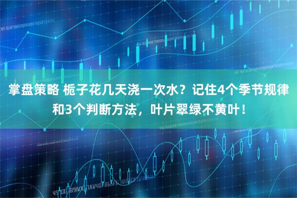 掌盘策略 栀子花几天浇一次水？记住4个季节规律和3个判断方法，叶片翠绿不黄叶！