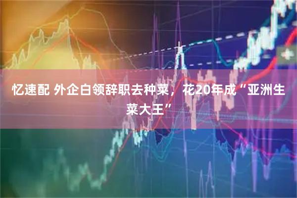 忆速配 外企白领辞职去种菜，花20年成“亚洲生菜大王”