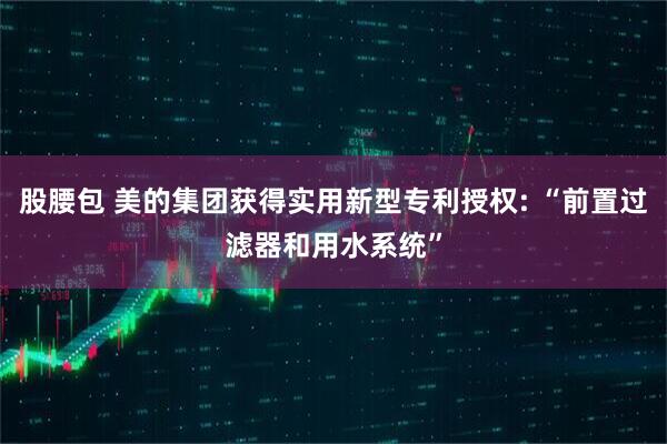 股腰包 美的集团获得实用新型专利授权: “前置过滤器和用水系统”
