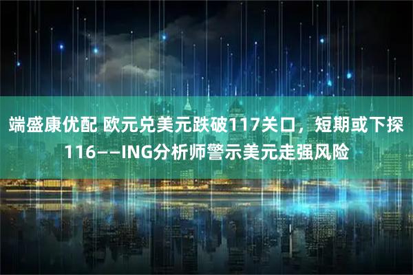 端盛康优配 欧元兑美元跌破117关口，短期或下探116——ING分析师警示美元走强风险