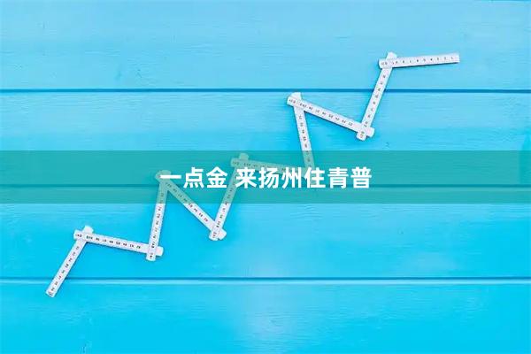 一点金 来扬州住青普