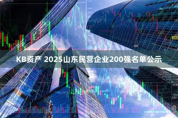 KB资产 2025山东民营企业200强名单公示