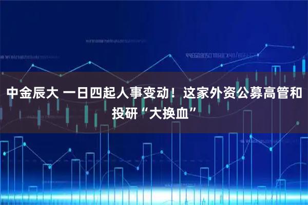中金辰大 一日四起人事变动！这家外资公募高管和投研“大换血”
