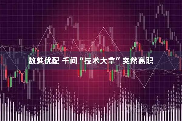 数魅优配 千问“技术大拿”突然离职
